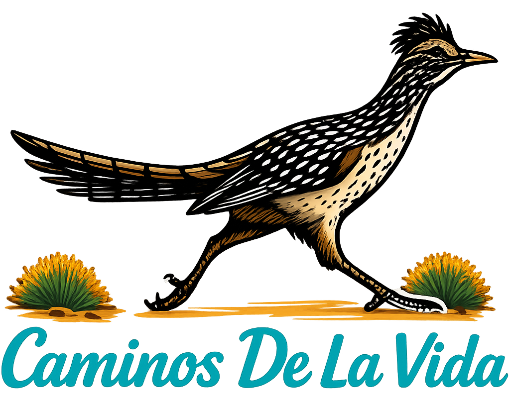 Caminos De La Vida